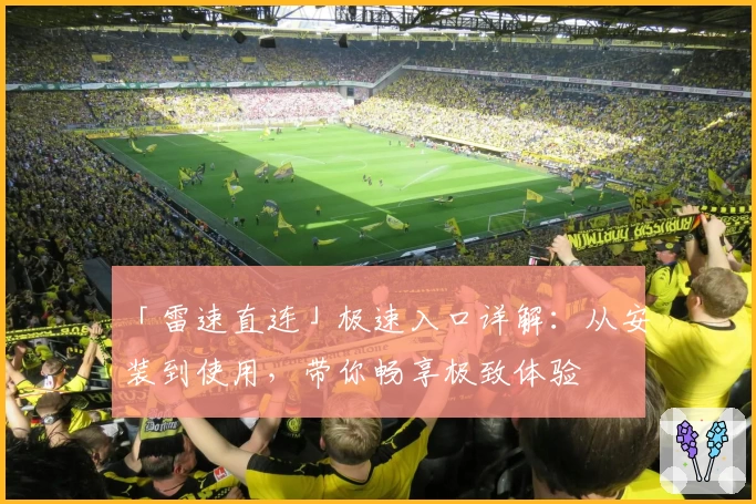 「雷速直连」极速入口详解：从安装到使用，带你畅享极致体验